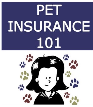 Security Pet Inseranse Top 20 Best Pet Products in the USA: Spoiling Our Furry Friends