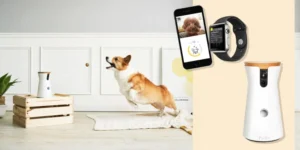 pet camera amazon