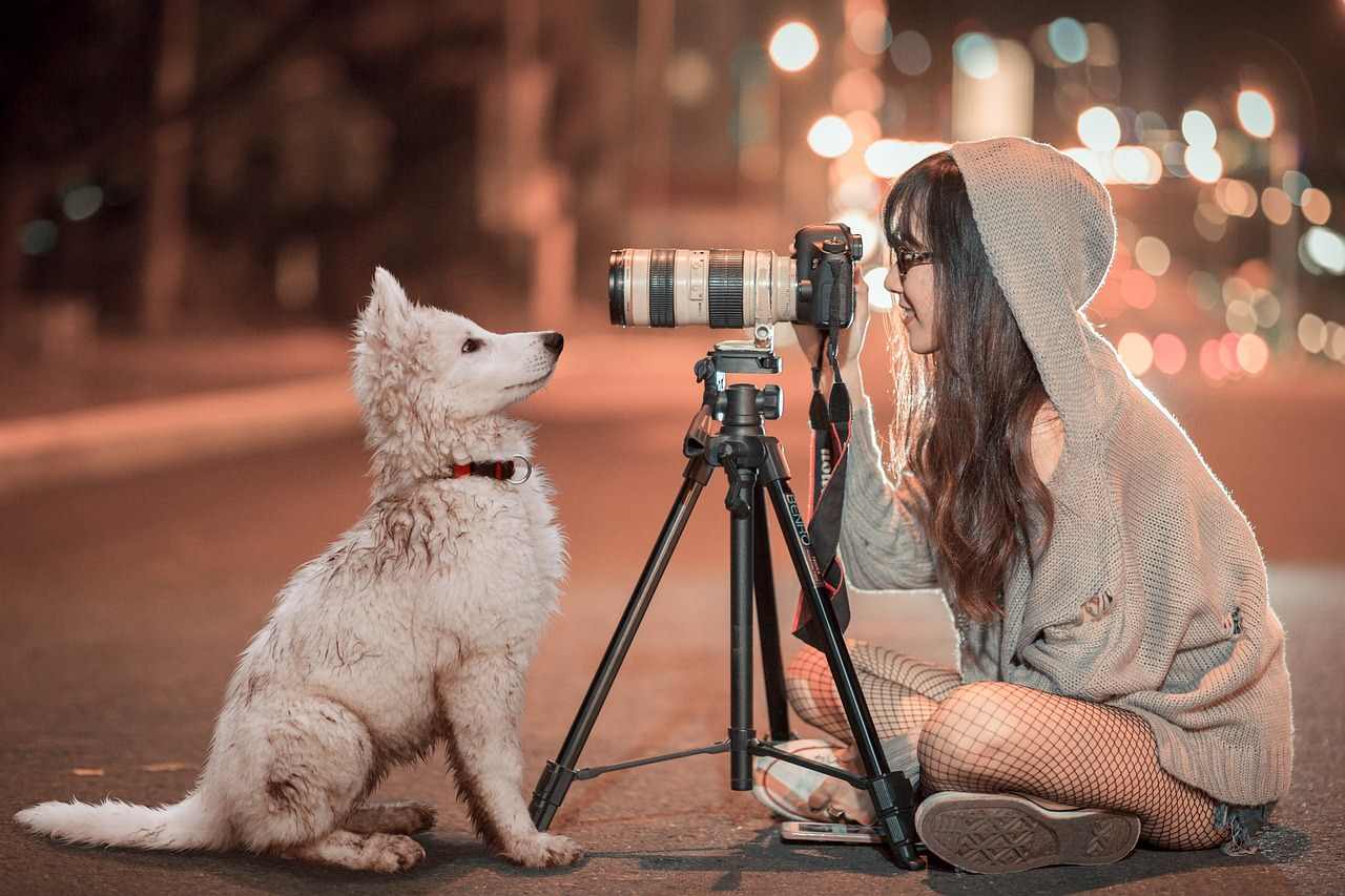 Pet Photography Tool and Techniques