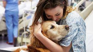 Pet Therapy: Fluffy Path to Better Health